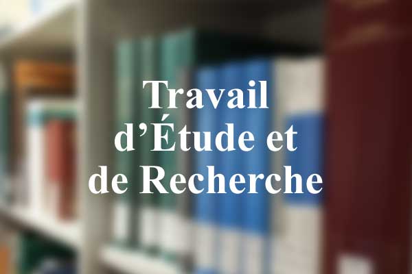 Travail d'Étude et de Recherche mené en Master 1 Création de Projets Numériques à l'Université de Lorraine