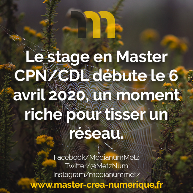 Publication fact pour les réseaux sociaux du Master Création Projets Numériques.